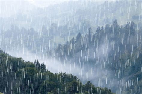 下大雨图片|下大雨摄影图片